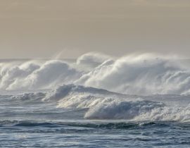 Lais Puzzle - Riesige Wellen schlagen auf das Riff von Norfolk Island, Australien - 40 Teile