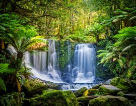 Lais Puzzle - Die Horseshoe Falls im Mt Field National Park, Tasmanien, Australien - 40 Teile