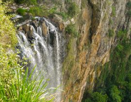 Lais Puzzle - Purlingbrook Falls im Springbrook Nationalpark, Queensland in Australien - 40 Teile
