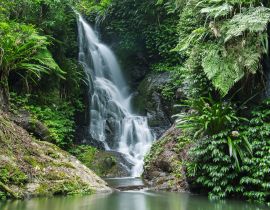 Lais Puzzle - Wasserfall im Lamington National Park in Queensland, Australien - 40 Teile