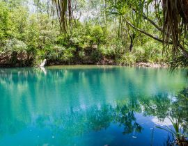 Lais Puzzle - Berry Springs, eine Süßwasserquelle im Northern Territory, Australien - 40 Teile