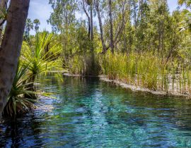 Lais Puzzle - Mataranka Hot Springs im Waterhouse River, Mataranka, Northern Territory, Australien - 40 Teile