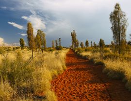 Lais Puzzle - Uluru Landschaft, Australien - 40 Teile