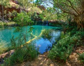 Lais Puzzle - Fern-Pool in der Dales-Schlucht, Karijini-Nationalpark, Westaustralien - 40 Teile