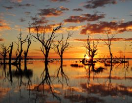 Lais Puzzle - Sonnenuntergang Reflexionen auf See Menindee Outback Australien - 40 Teile