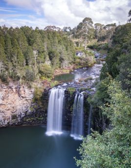 Lais Puzzle - Dangar Falls Wasserfall Weg Coffs Harbour nach Armidale New South Wales Australien - 40 Teile