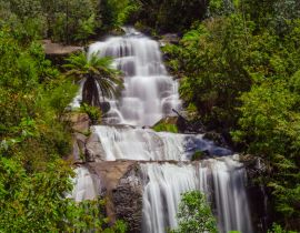 Lais Puzzle - Wunderschöne Fainter Falls im australischen Urwald. Kiewa Tal, Victoria, Australien - 40 Teile