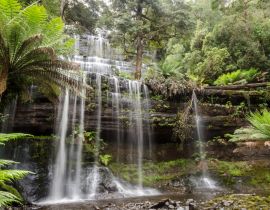 Lais Puzzle - Russell Falls liegt in Tasmanien, Australien. Er befindet sich in einem üppigen, grünen Regenwald. - 40 Teile