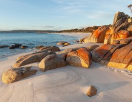 Lais Puzzle - Mit Flechten bedeckte Felsen. Bay of Fires. Tasmanien. Australien - 40 Teile