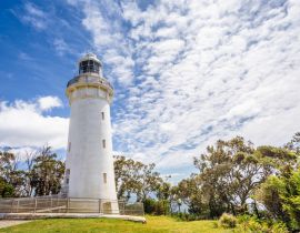 Lais Puzzle - Blick auf weißen Leuchtturm, Tafelkap Tulip, Wynyard, Tasmanien, Australien - 40 Teile