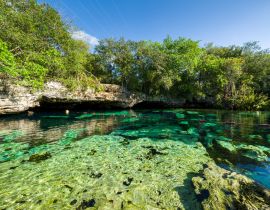 Lais Puzzle - Cenote Azul, Riviera Maya, Playa Del Carmen, Mexiko - 40 Teile