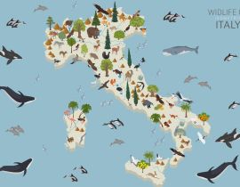 Lais Puzzle - Tierleben Italiens - 40 Teile