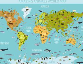Lais Puzzle - Tierleben der Welt - 40 Teile