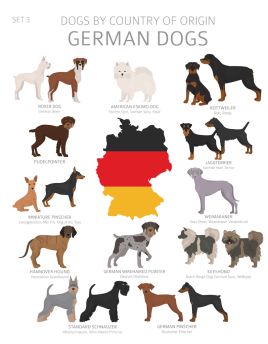 Lais Puzzle - Hunde Deutschlands - 40 Teile