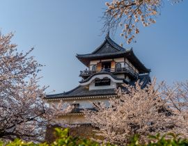 Lais Puzzle - Schloss Inuyama und Kirschblüten, Japan - 40 Teile