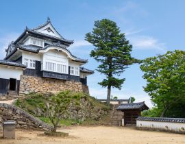 Lais Puzzle - Bitchu Matsuyama Schloss, Japan - 40 Teile
