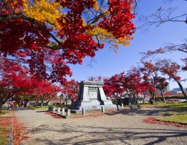 Lais Puzzle - Herbst im Iwate-Park, Morioka-Stadt, Iwate, Japan - 40 Teile