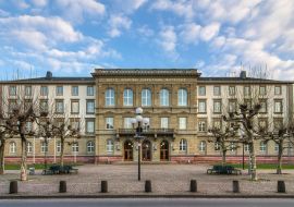 Lais Puzzle - Universität Gießen - 1.000 Teile