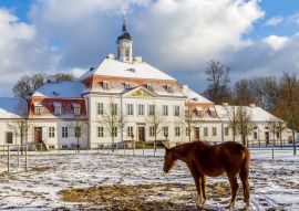 Lais Puzzle - Brandenburgisches Haupt- und Landgestüt Neustadt Dosse - 100, 200, 500 & 1.000 Teile