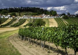 Lais Puzzle - Kellergasse Mistelbach - 100, 200, 500 & 1.000 Teile