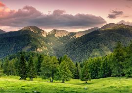 Lais Puzzle - Nockalm, Kärnten, Österreich - 100, 200, 500 & 1.000 Teile