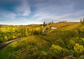 Lais Puzzle - Bad Radkersburg, Steiermark, Österreich - 100, 200, 500 & 1.000 Teile