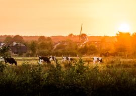 Lais Puzzle - Hellendoorn im Sonnenuntergang - 100, 200, 500 & 1.000 Teile