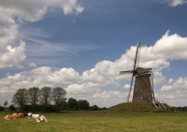 Lais Puzzle - Windmühle bei Bronkhorst - 100, 200, 500 & 1.000 Teile