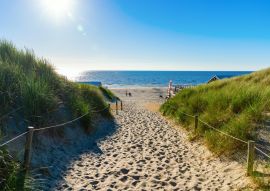 Lais Puzzle - Zugang zum Strand in den Dünen von Texel, Niederlande - 100, 200, 500 & 1.000 Teile