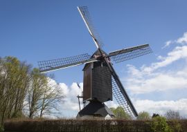 Lais Puzzle - Historische Windmühle in Someren, die Niederlande - 100, 200, 500 & 1.000 Teile