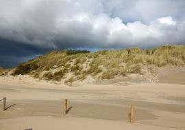 Lais Puzzle - Dünen bei Burgh-Haamstede, Niederlande - 100, 200, 500 & 1.000 Teile