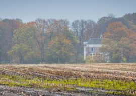 Lais Puzzle - Herrenhaus von Estate Dickninge zwischen Bäumen in Herbstfarben in De Wolden, Drenthe, Niederlande - 100, 200, 500 & 1.000 Teile