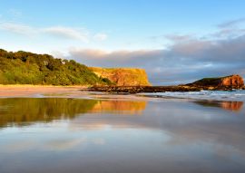 Lais Puzzle - Seacliff Beach, East Lothian, Schottland - 100, 200, 500 & 1.000 Teile