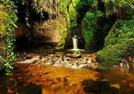 Lais Puzzle - Eine schöne Schlucht mit Wasserfall und üppiger Vegetation. Dollar Glen, Clackmannanshire, Schottland, UK - 100, 200, 500 & 1.000 Teile