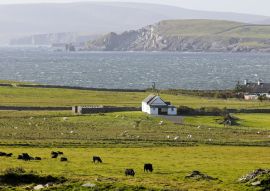 Lais Puzzle - Ein Blick über das Ackerland auf Bressay zum Mainland, Shetland, Schottland - 100, 200, 500 & 1.000 Teile
