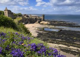 Lais Puzzle - St Andrews Castle Ruinen auf felsigen Nordseeküste mit Blick auf Castle Sands Strand in St Andrews Fife Schottland UK mit lila Geranien - 100, 200, 500 & 1.000 Teile