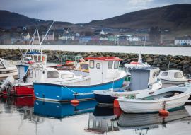 Lais Puzzle - Farbenfrohe kleine Fischerboote im Hafen von Scalloway, Shetland-Inseln, Schottland - 100, 200, 500 & 1.000 Teile