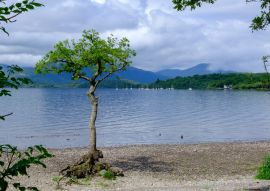 Lais Puzzle - Milarrochy Bay Loch Lomond West Dunbartonshire Argyll und Bute Stirling Schottland - 100, 200, 500 & 1.000 Teile