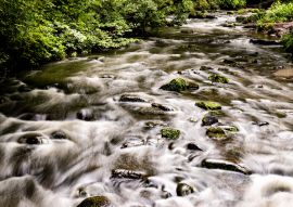 Lais Puzzle - Auldhouse Burn im Rouken Glen Park, Giffnock, East Renfrewshire, Glasgow Südseite, Schottland - 100, 200, 500 & 1.000 Teile