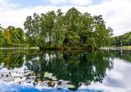 Lais Puzzle - Insel auf dem Teich im Rouken Glen Park, Giffnock, East Renfrewshire, Südseite Glasgow, Schottland - 100, 200, 500 & 1.000 Teile