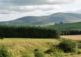 Lais Puzzle - Tinto hill South Lanarkshire - 100, 200, 500 & 1.000 Teile