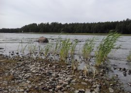 Lais Puzzle - Am Ufer des Händen See bei Kristinehamn in Schweden - 100, 200, 500 & 1.000 Teile
