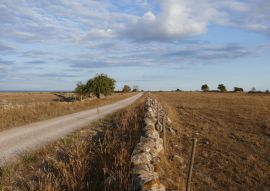 Lais Puzzle - Öland Schweden - 100, 200, 500 & 1.000 Teile