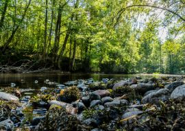 Lais Puzzle - Västmanland - 100, 200, 500 & 1.000 Teile