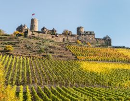 Lais Puzzle - Mosel - Burg Thurant mit Weinberg - 40, 100, 200, 500 & 1.000 Teile