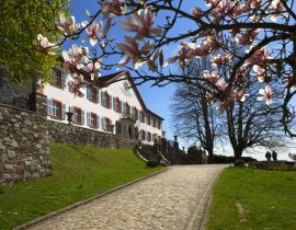 Lais Puzzle - Schloss Bürgeln bei Schliengen im Markgräflerland - 40, 100, 200, 500 & 1.000 Teile