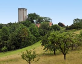 Lais Puzzle - Burg Greene in Niedersachsen - 40, 100, 200, 500 & 1.000 Teile