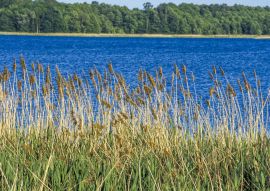 Lais Puzzle - Doba, Poland, Ermland-Masuren - 100, 200, 500 & 1.000 Teile