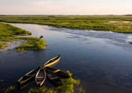 Lais Puzzle - Narew National Park - 100, 200, 500 & 1.000 Teile
