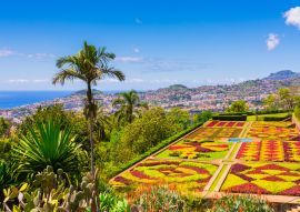 Lais Puzzle - Botanischer Garten in Funchal, Insel Madeira, Portugal - 100, 200, 500 & 1.000 Teile